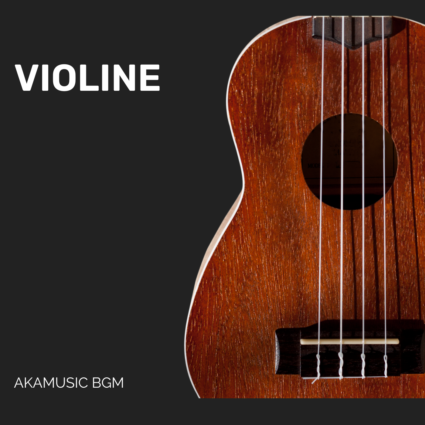 VIOLINE cover