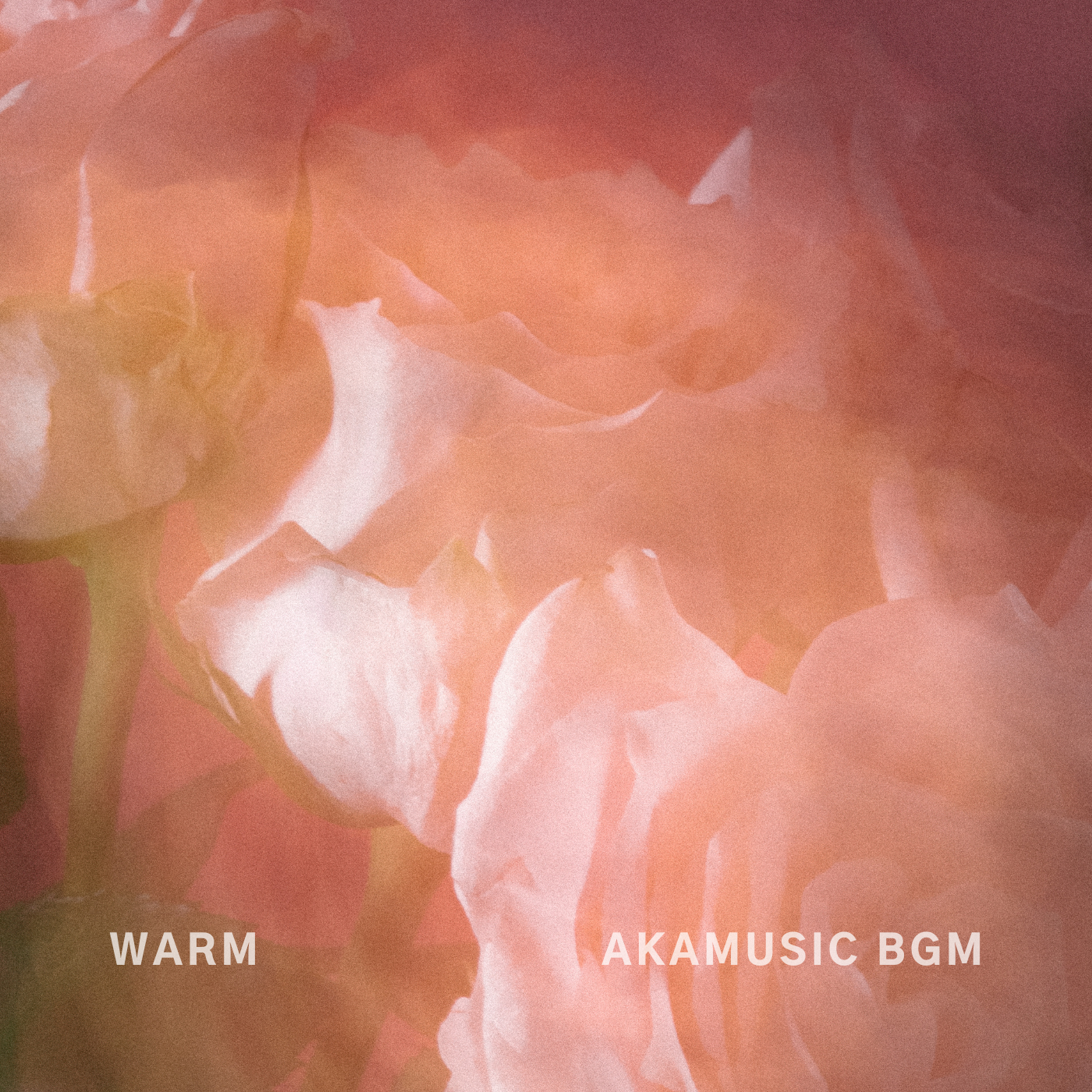 WARM cover